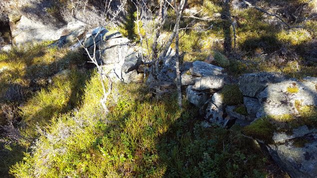 En del av steingarden som skiller gardene Gjelsten og Rekdal på sørsida av Snaufjellet ca. 350 m.o.h. kanskje oppsatt etter forliket mellom de to gardene i 1861, da det vart enighet om å sette opp en gjerdesgard innen 30.mai 1863.
